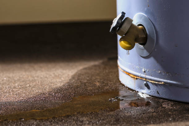 Best Water damage restoration near me  in Enola, PA