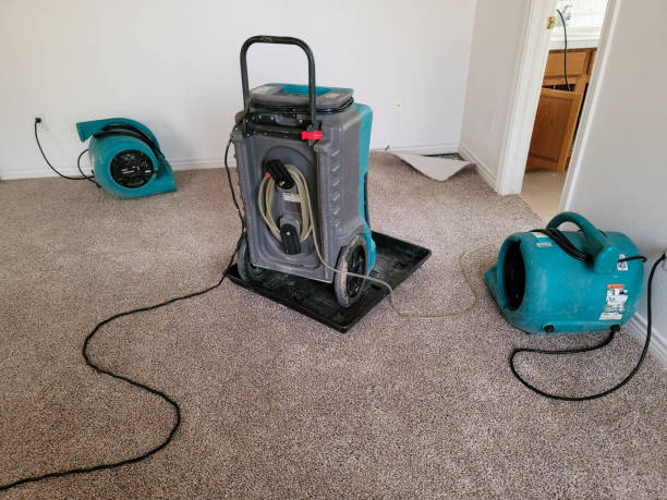 Best Water damage mitigation services  in Enola, PA
