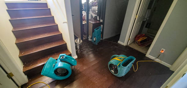 Best Water damage cleanup near me  in Enola, PA