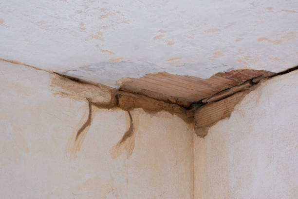 Best Local water damage restoration  in Enola, PA