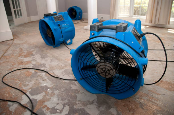 Best Professional water damage repair  in Enola, PA