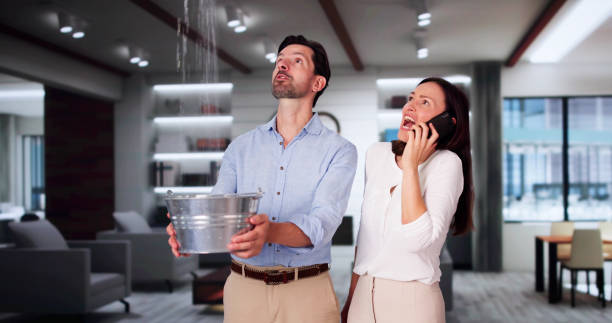 Best Water damage contractors near me  in Enola, PA